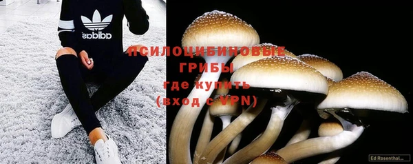 гашик Алексеевка