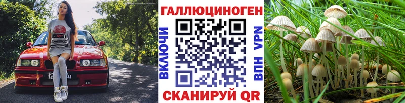 Псилоцибиновые грибы мицелий  нарко площадка состав  Ермолино 